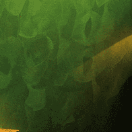 Oro Efecte Decorative